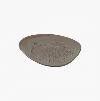 Fossil plato hoja vid
